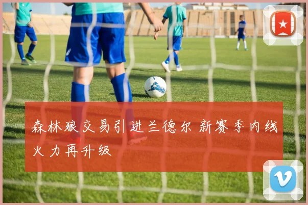 森林狼交易引进兰德尔 新赛季内线火力再升级