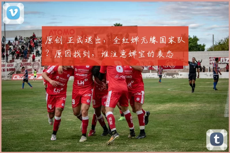 原创 正式退出，全红婵无缘国家队？原因找到，谁注意婵宝的表态